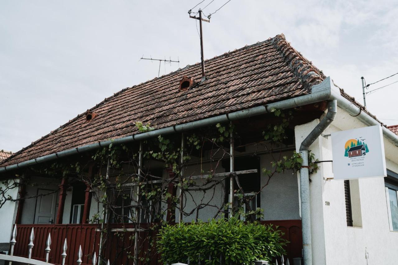 Casuta Andrey & Dan Villa Mihai Viteazu  Exterior foto
